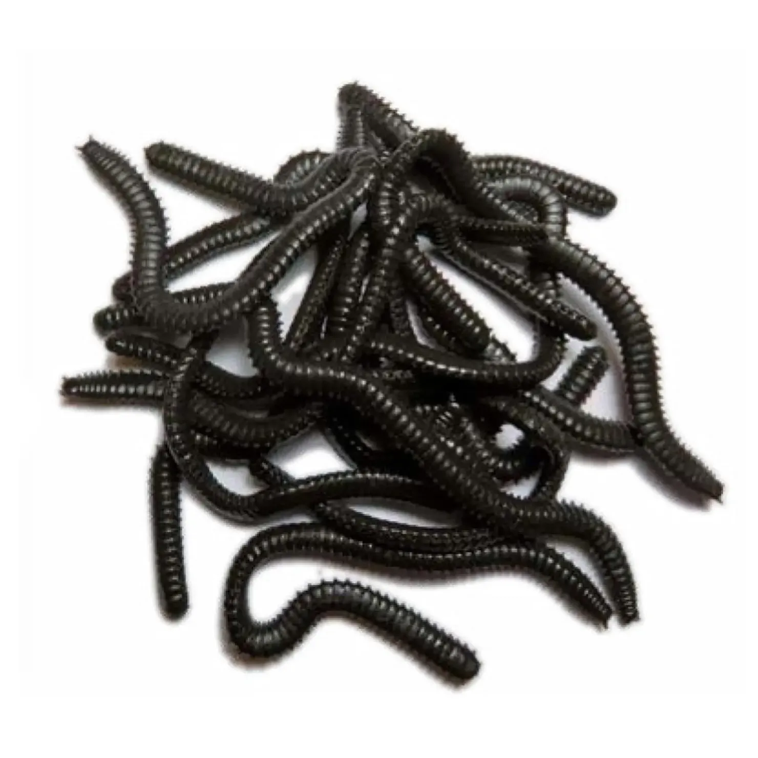 Behr Watwurm Spezial 16 Stück| Sonstige Angelköder|Brandungsangeln Köder