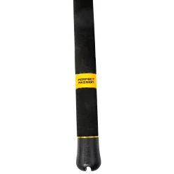 Black Cat Perfect Passion XH-S 2,40m 600g Allround Welsrute| Waller Allroundruten|Wallerruten