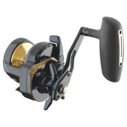 Daiwa 24 Saltiga (G) 15L Multirolle| Heilbuttrollen|Dorschrollen