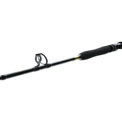Daiwa BG Big Game 1.68m 20-30lbs Bootsrute| Heilbuttruten|Dorschruten
