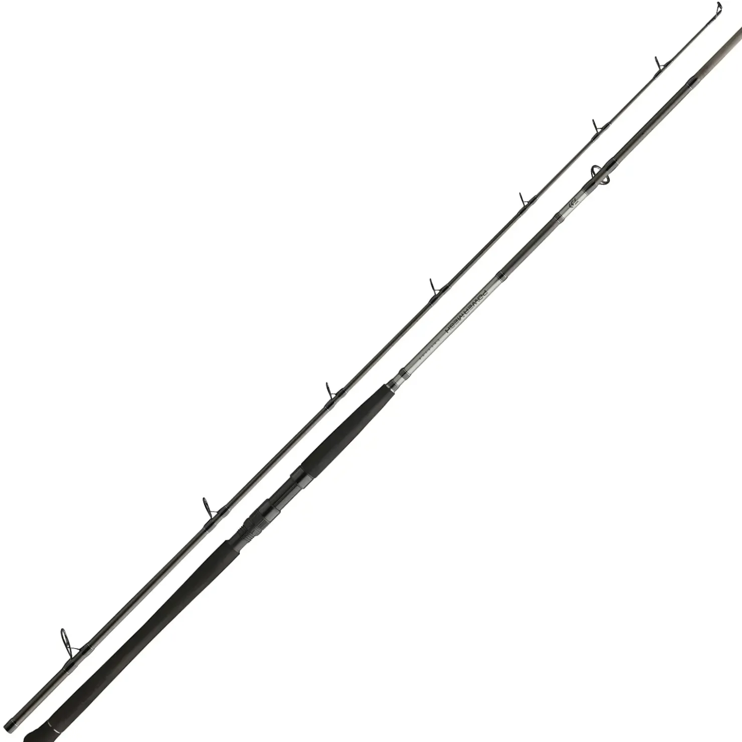 Daiwa Powermesh CF Boje 3,00m 150-400g Welsrute| Hechtrute|Köderfischruten Dead Bait