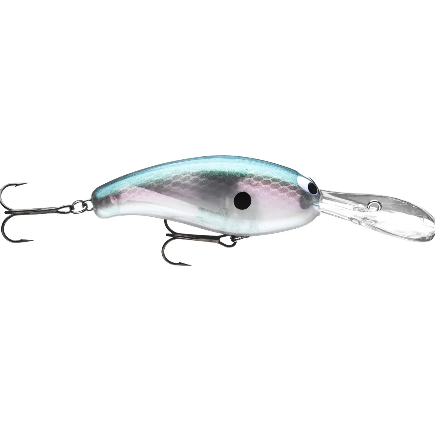Daiwa Prorex Fuku Hayate Crank 5,5cm Crankbait Wobbler| Barsch Wobbler|Forellen Wobbler