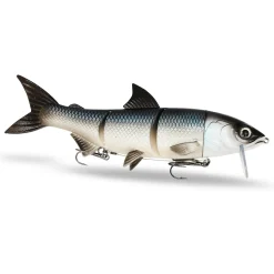 FishingGhost RenkyOne 25cm Hybrid Swimbait| Schleppwobbler|Xxl Köder. Big Baits