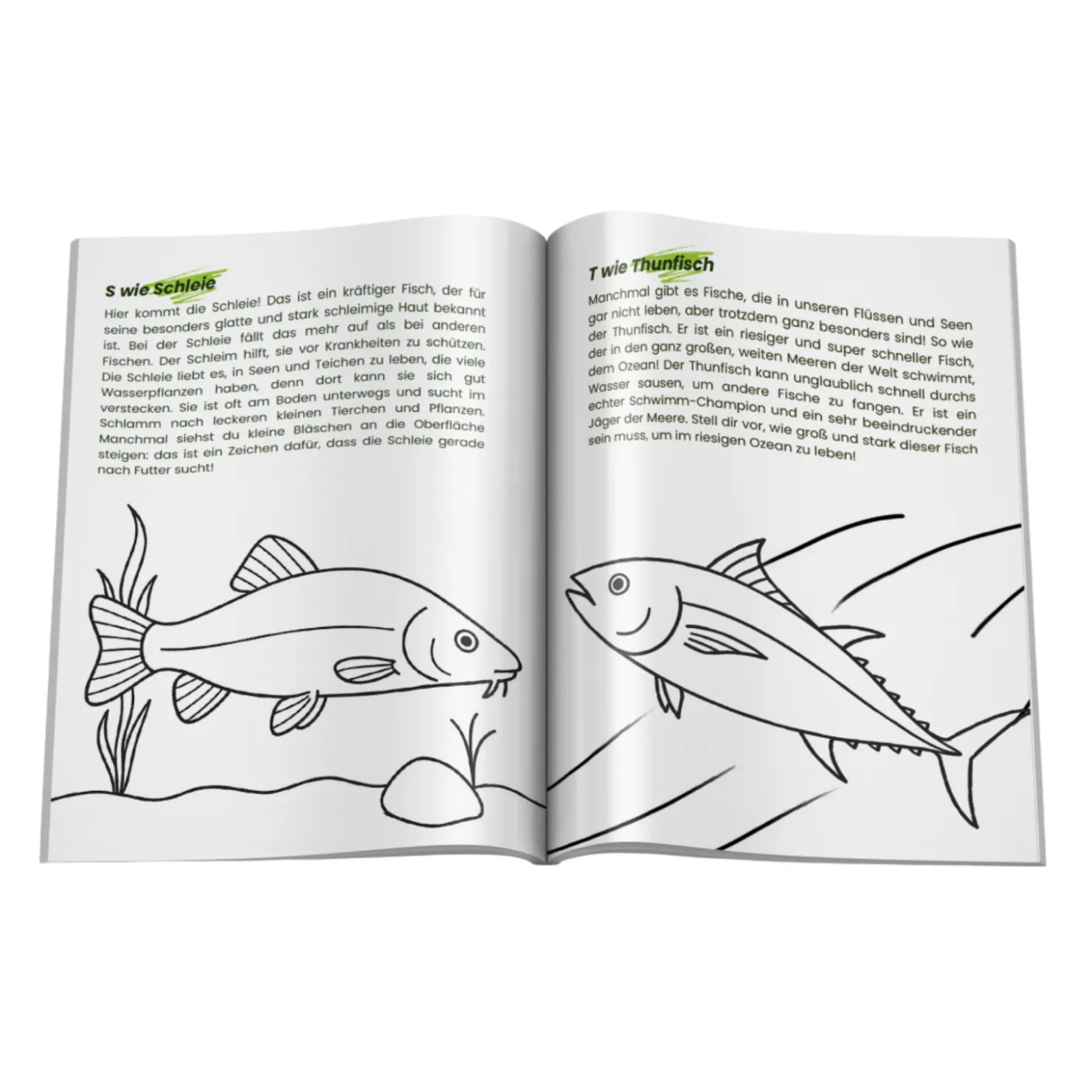 Fishing-King Kids "Malbuch - ABC der Fische"| Angelbücher