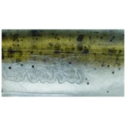 Gunki Bull Frog 130 Gummifrosch| Gummifrösche|Oberflächenköder