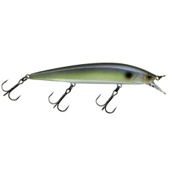 Illex Rerange 110 SP Weitwurfwobbler| Zander Wobbler|Wobbler