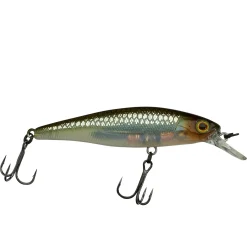 Illex Squad Minnow 65 SP Wobbler| Barsch Wobbler|Wobbler