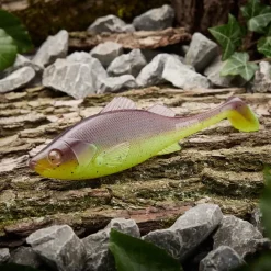 Jackson Green Pure Perch Shad 10,0cm Gummifisch| Barsch Gummiköder|Gummifische