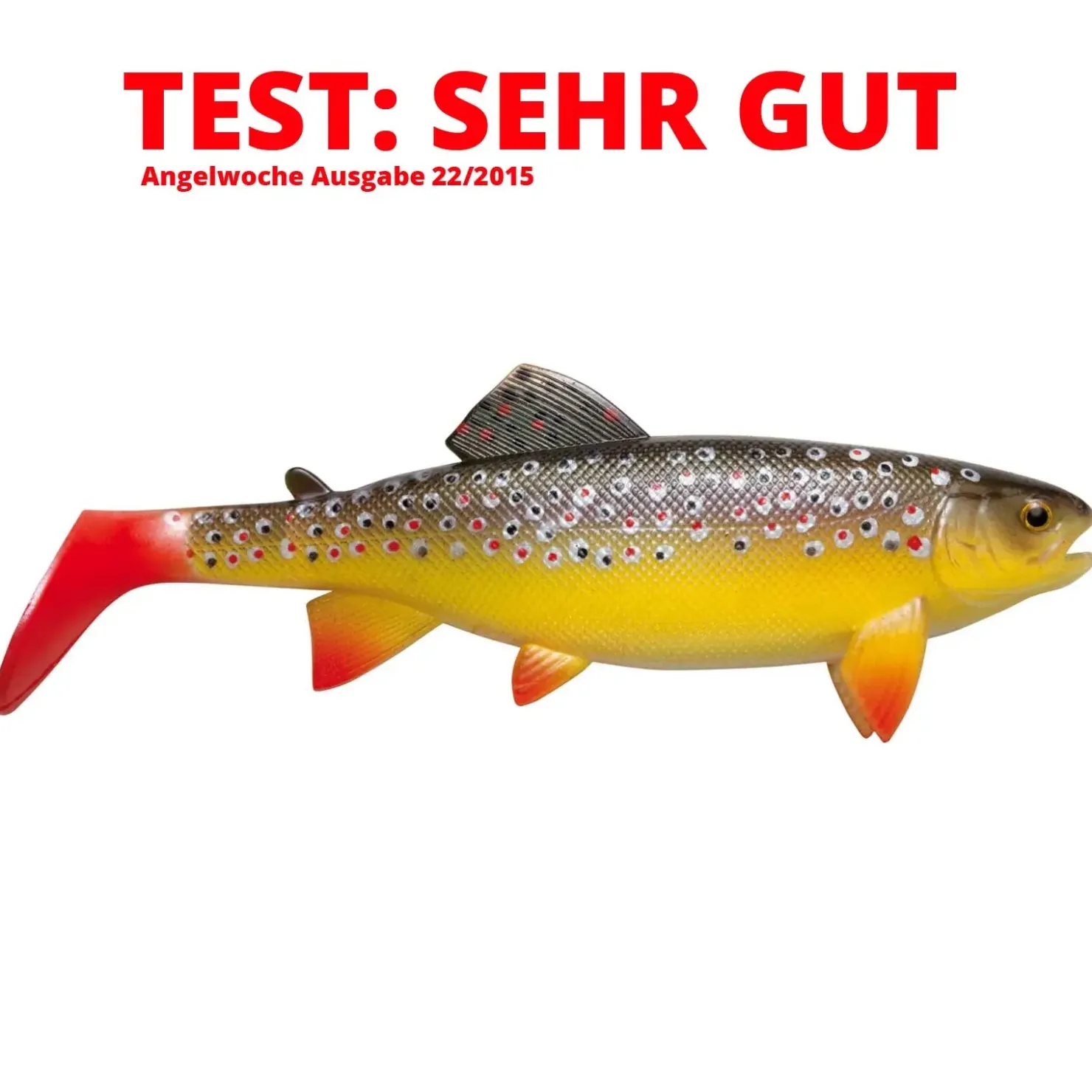 Jackson The Trout 23cm Gummifisch| Huchen Köder|Hecht Gummifisch