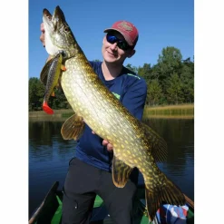 Jackson The Trout 23cm Gummifisch| Huchen Köder|Hecht Gummifisch