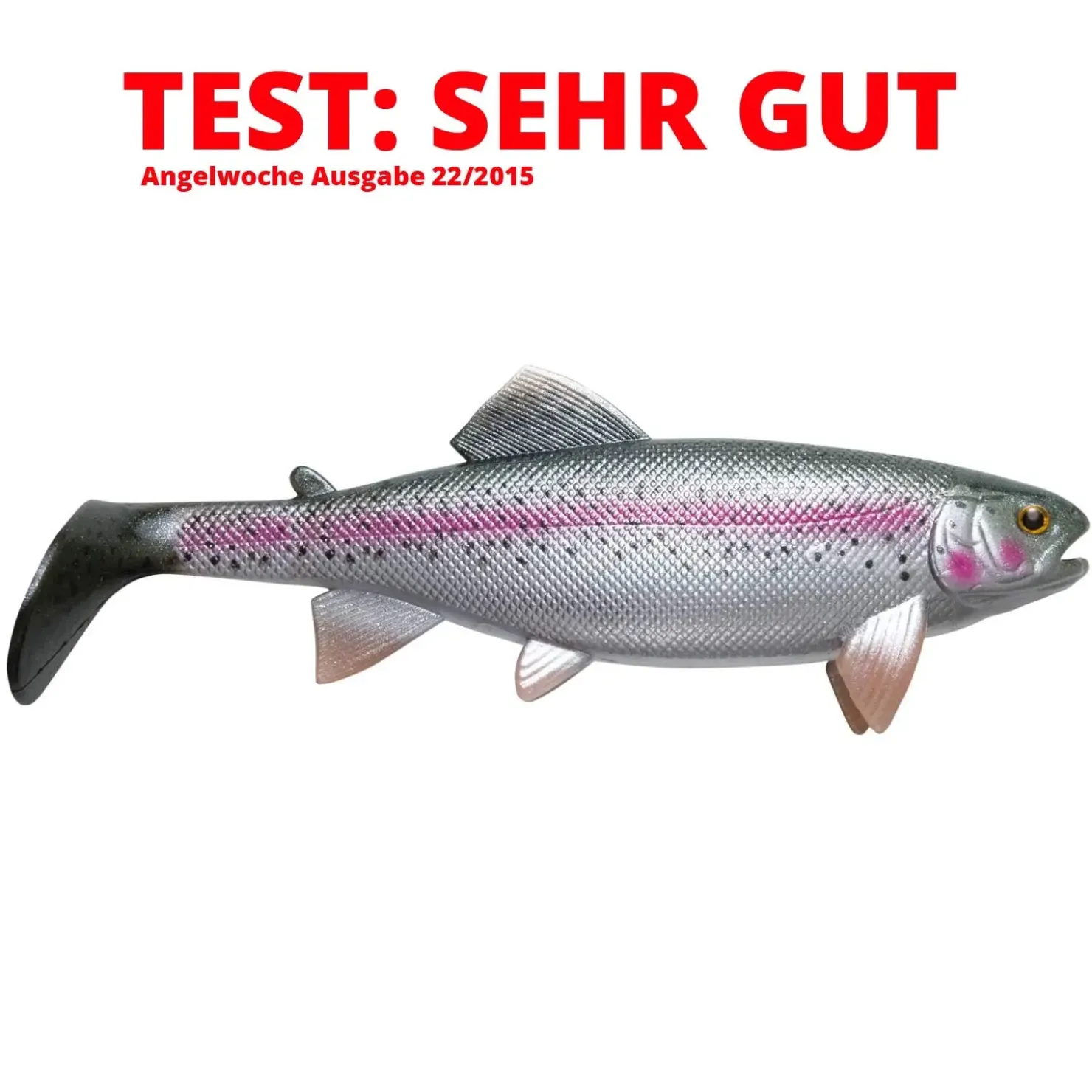 Jackson The Trout 13cm Gummifisch| Hecht Gummifisch|Hechtsaison