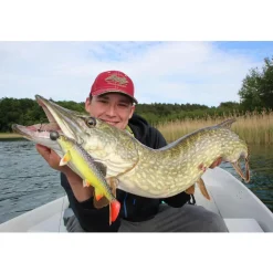 Jackson The Trout 13cm Gummifisch| Hecht Gummifisch|Hechtsaison