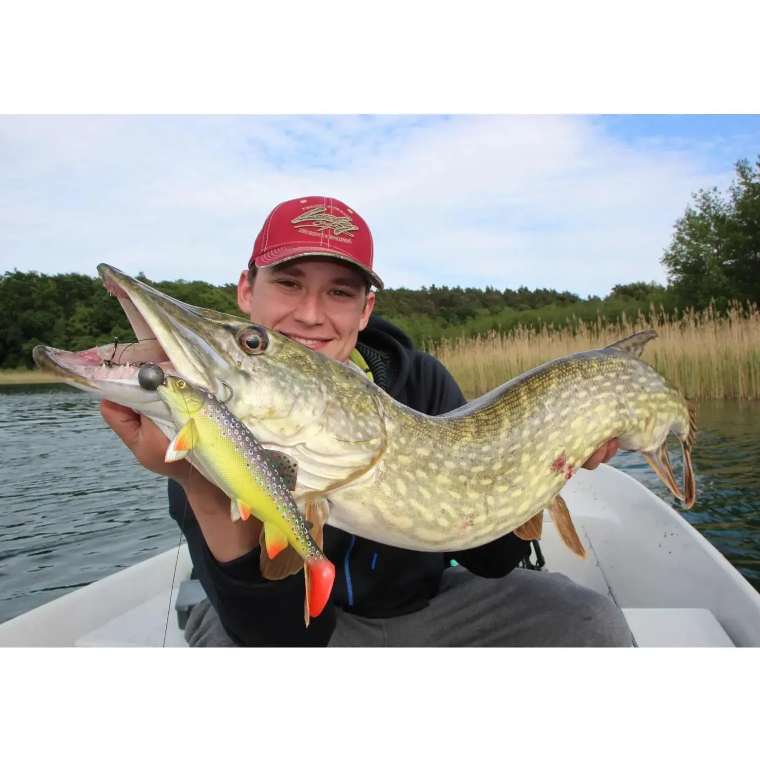 Jackson The Trout 13cm Gummifisch| Hecht Gummifisch|Hechtsaison