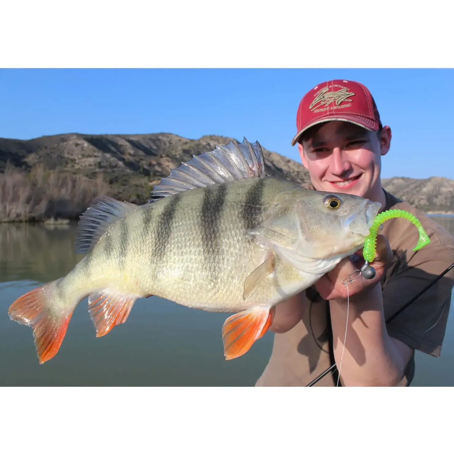 Jackson The Worm 15,0cm Gummiköder| Hecht Gummifisch|Hechtsaison