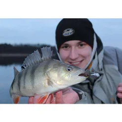 Jackson The Worm 15,0cm Gummiköder| Hecht Gummifisch|Zander Gummifisch