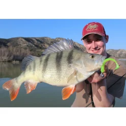 Jackson The Worm 15,0cm Gummiköder| Hecht Gummifisch|Zander Gummifisch