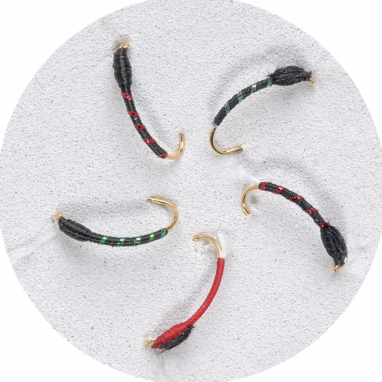 Jenzi Premium Hegene Cesar Gr.14 – 5 Nymphen| Hegene|Renken Hegene