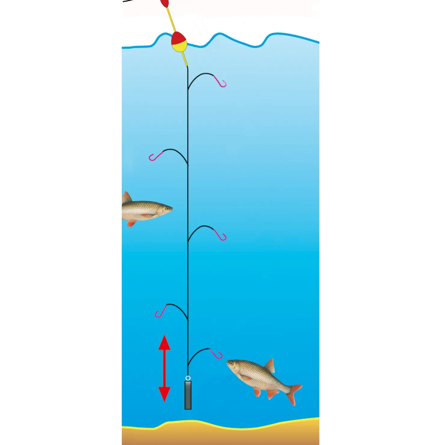 Jenzi Premium Hegene Cesar Gr.14 – 5 Nymphen| Hegene|Renken Hegene