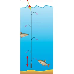 Jenzi Premium Hegene Emil Gr.14 – 5 Nymphen| Hegene|Renken Hegene