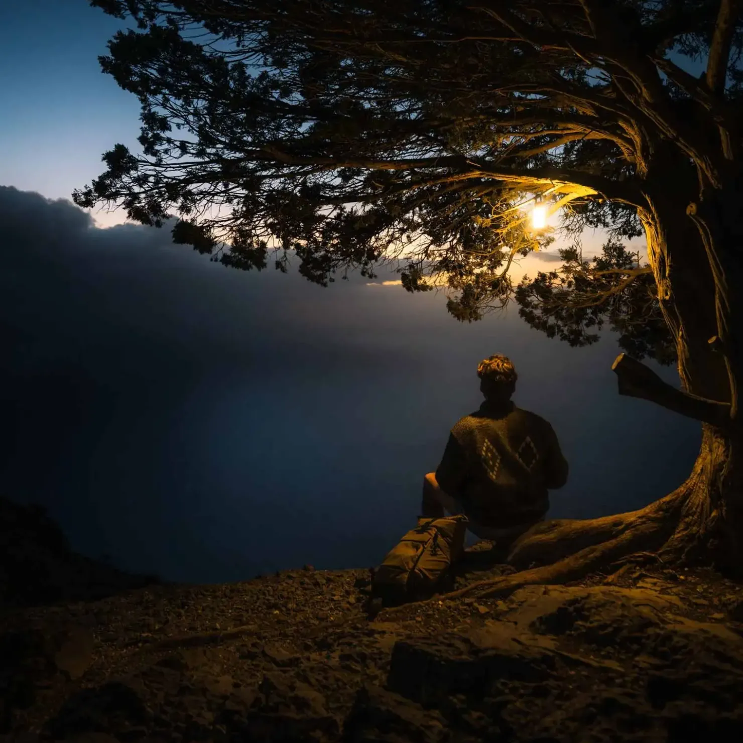 LEDLENSER ML6 WarmLight Laterne| Campinglampen