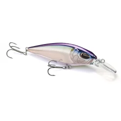Nays CRNK FLT 75 Crankbait Wobbler| Barsch Wobbler|Wobbler