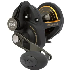 Penn Squall II SQlII25LD Multirolle| Heilbuttrollen|Dorschrollen