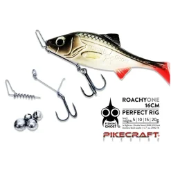 Pikecraft Fishing Pikecraft Roachy Kit FishingGhost 16cm BKK 2/0 1pcs Rig Zubehör| Raubfischhaken|Jigköpfe