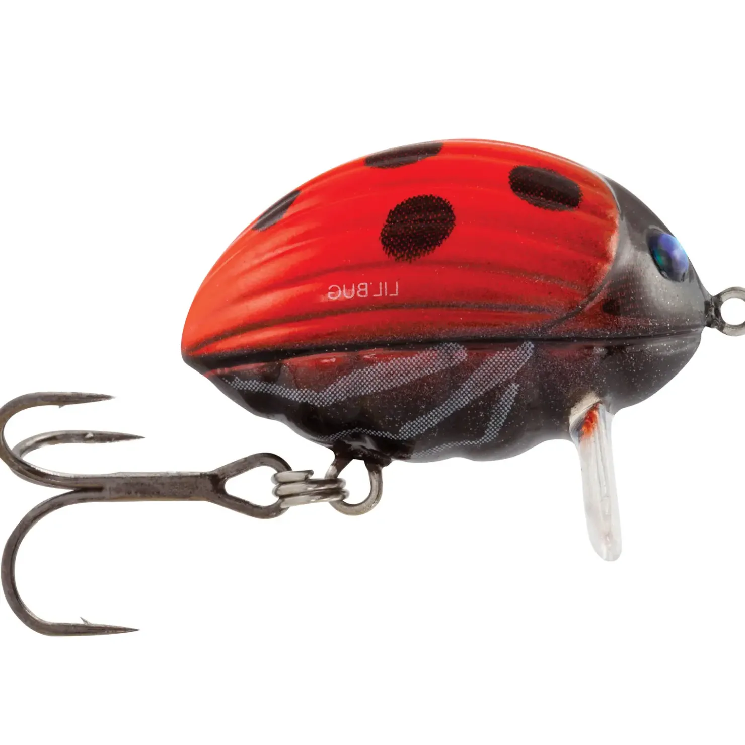 Salmo Lil Bug Floating Crankbait 2cm Wobbler| Forellen Wobbler|Wobbler