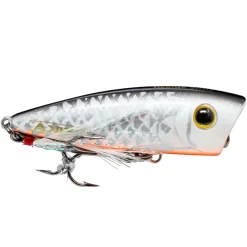 Seika Pro Little Splash 6,0cm 8,0g schwimmend Popper| Barsch Topwater-Köder|Oberflächenköder