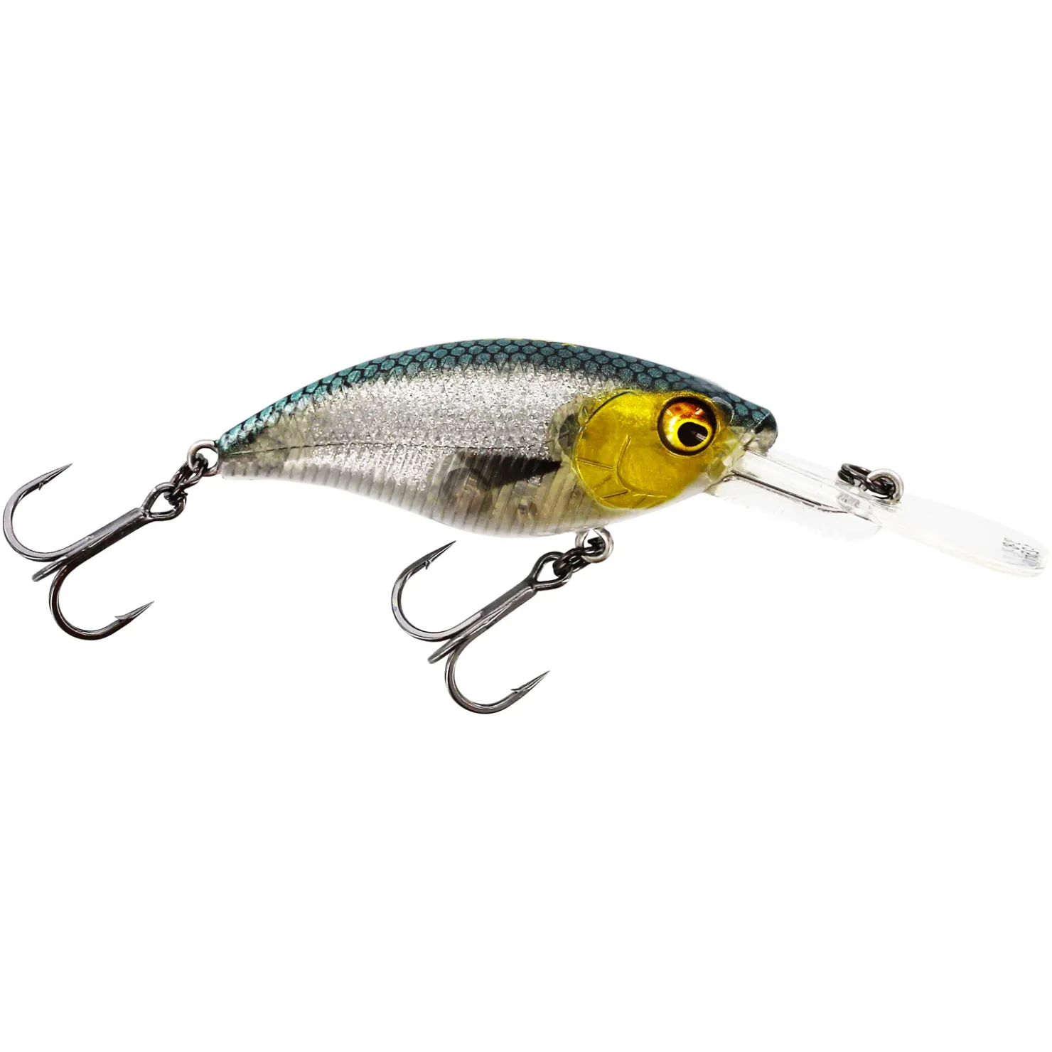 Westin Buzzbite Crankbait 6cm Suspending Wobbler| Wobbler|Barschköder