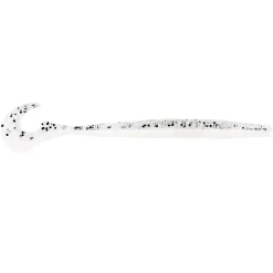 Westin Ned Worm Curl 12cm 3g 5 Stück Gummiwurm| Drop Shot Köder|Creature Baits