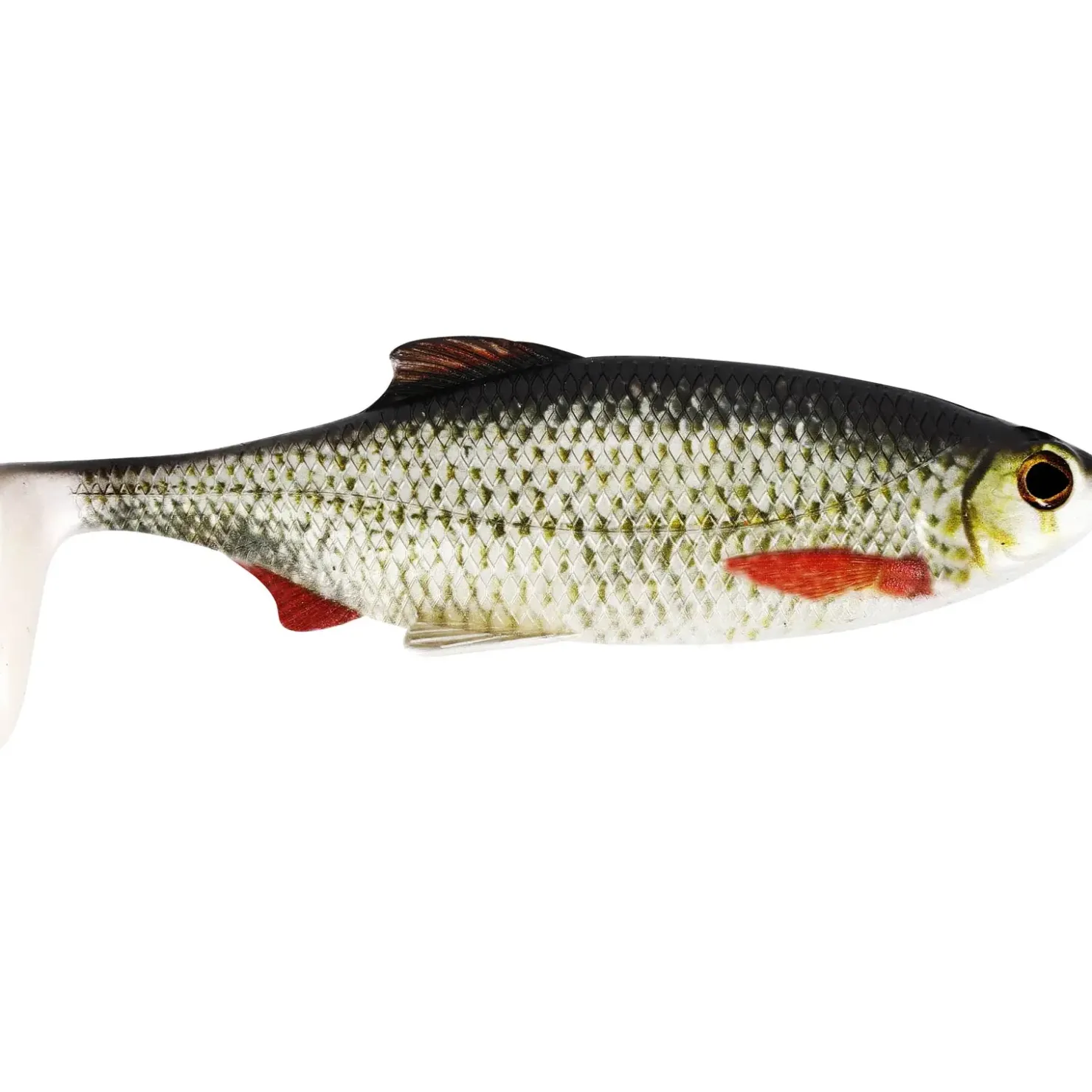 Westin Ricky the Roach Shadtail 18cm 85g 1pc Gummifisch| Hechtsaison|Gummifische