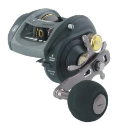 WFT Catbuster BC incl.Extra Spule 7+1 1:6,3 Wels-Baitcastrolle| Waller Multirollen|Welsrollen