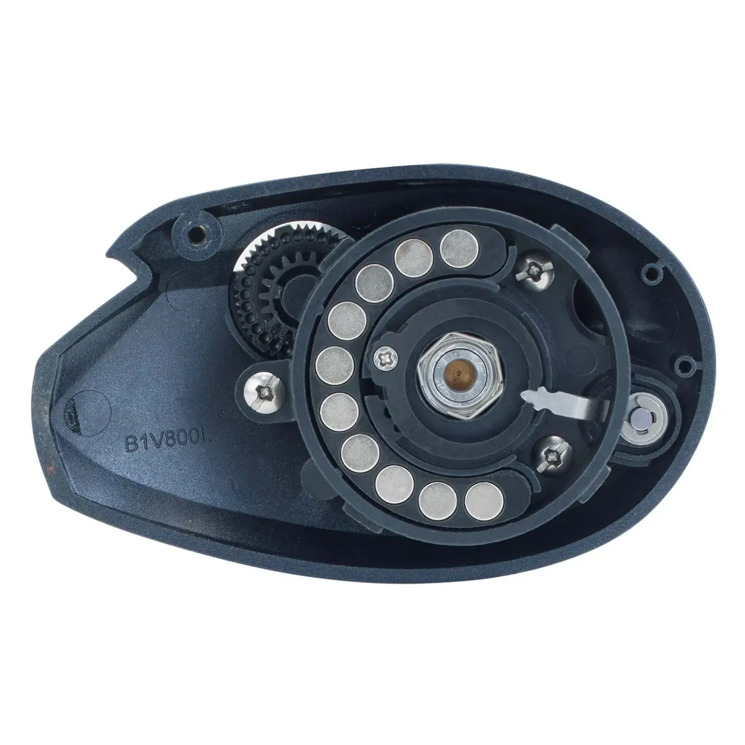 WFT MAGNETO GBC, 1:6.6, 8+1 Baitcastrolle| Spinnrolle|Dorschrollen