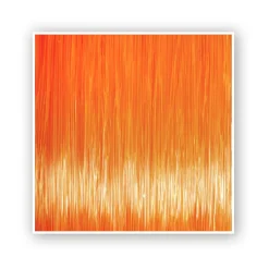 Zebco Trophy Forelle 0,20mm 300m TOP Angelschnur| Spezial Angelschnur|Monofile Angelschnur