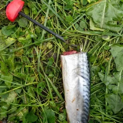 Zeck Fishing Zeck DB Pop Up Ball 2pcs Auftriebskörper| Angelzubehör Kleinteile