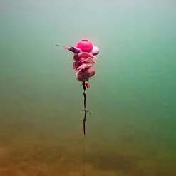 Zeck Fishing Zeck DB Pop Up Half-Ball 2pcs Auftriebskörper| Angelzubehör Kleinteile