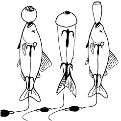 Zeck Fishing Zeck DB Pop Up Kit 3pcs Auftriebskörper| Angelzubehör Kleinteile