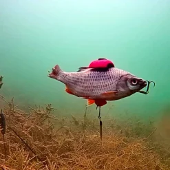 Zeck Fishing Zeck DB Rucksack Float Mix 2pcs Auftriebskörper| Angelzubehör Kleinteile