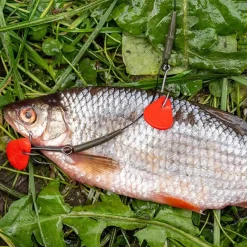 Zeck Fishing Zeck Dead Bait Bait Flag 20pcs Köderstopper| Angelzubehör Kleinteile