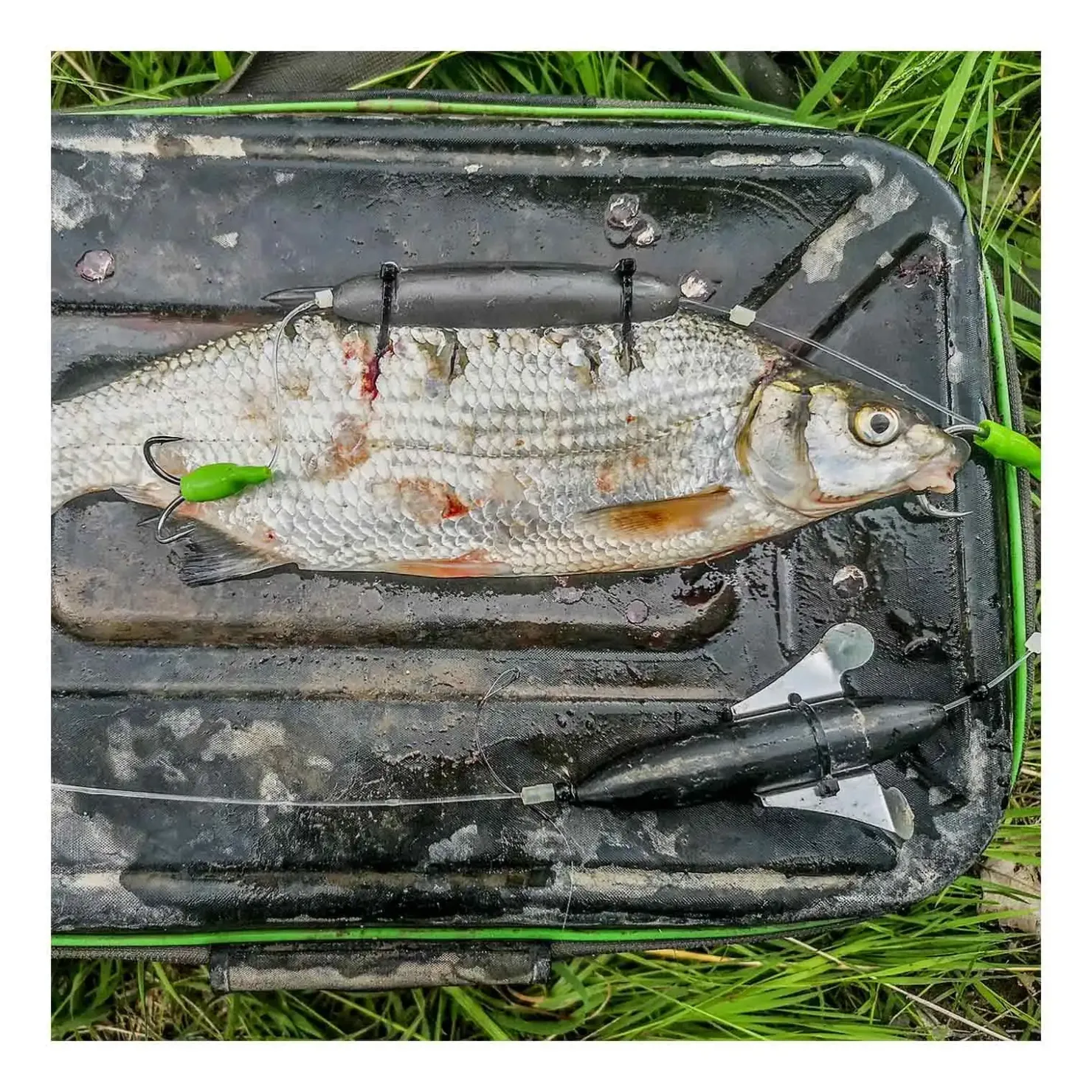 Zeck Fishing Zeck Deadbait U-Float 15g Unterwasser-Pose| Wallerposen Und U-Posen|Unterwasserposen